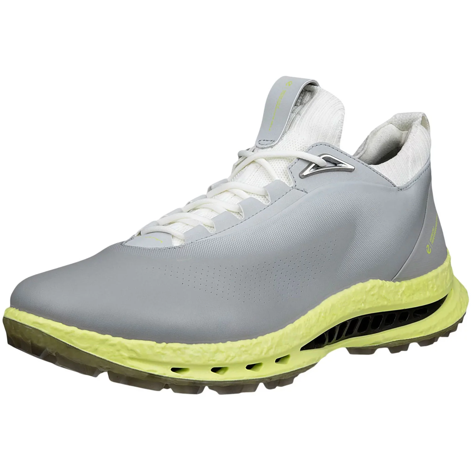 Ecco Biom C5 Leather Golf Shoes Wild Dove - Image 2